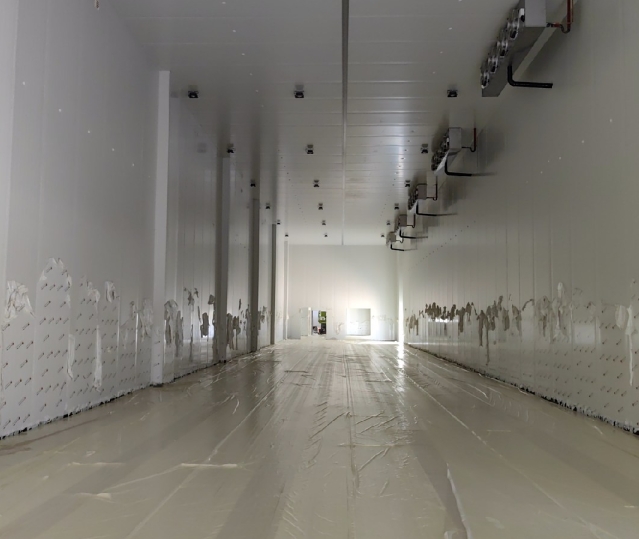 冷庫(kù)建設(shè)行業(yè)現(xiàn)狀解析：2025年市場(chǎng)趨勢(shì)與技術(shù)革新