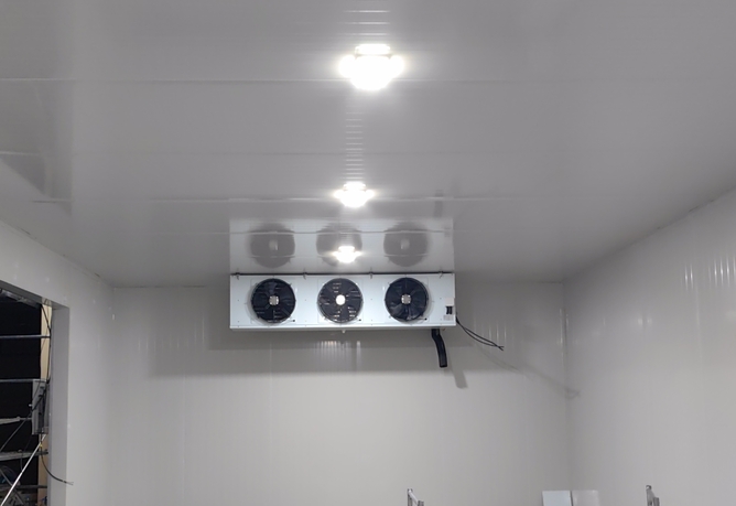 香蕉冷庫溫度設(shè)置全指南：從采摘到餐桌的保鮮密碼