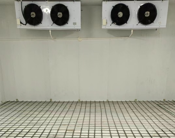 2025年冷庫一噸存儲(chǔ)成本解析：從設(shè)備到維護(hù)的全面預(yù)算指南