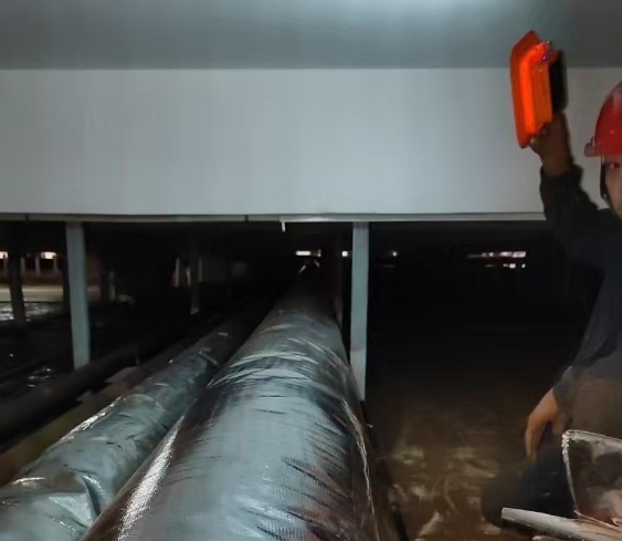 低溫冷庫溫度設(shè)置全攻略：不同行業(yè)適配溫度與節(jié)能技巧大公開