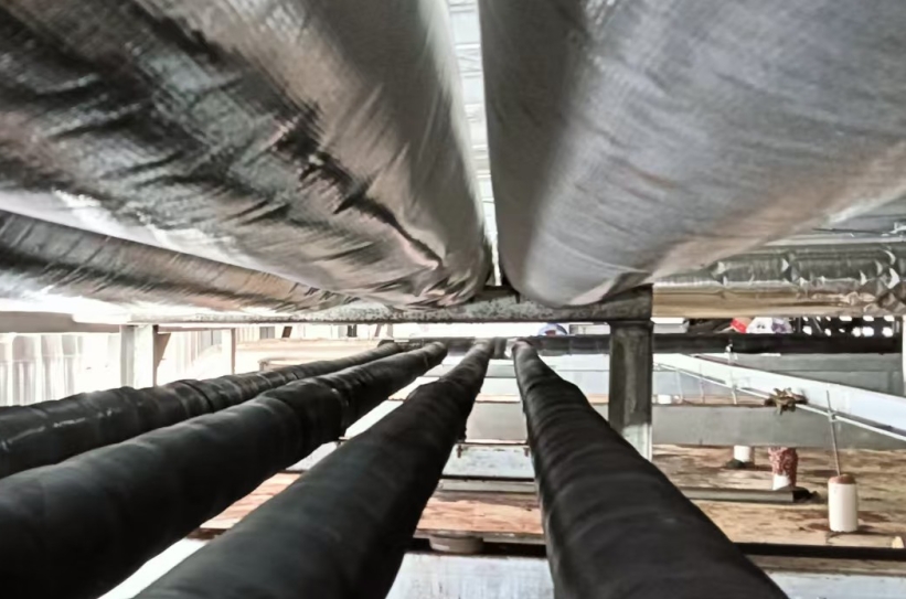 水果冷庫保鮮全攻略：享寧制冷揭秘不同水果最佳儲存周期