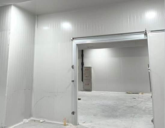 大型冷庫建設(shè)成本解析：每平米造價(jià)及影響因素全揭秘