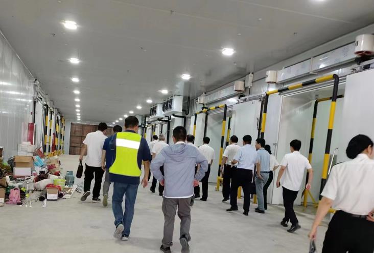 冷庫(kù)建設(shè)費(fèi)用全解析：從預(yù)算到落地，這些因素決定你的投入成本