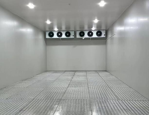 冷庫的配套設(shè)施全解析：從基礎(chǔ)到進(jìn)階的實(shí)用指南