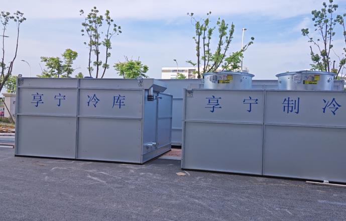 冷庫放葡萄能存放多久？關(guān)鍵因素與保鮮技巧全解析