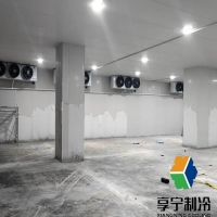 冷庫未加保鮮劑能保存多久？完整保鮮指南看這里！