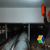 茶葉冷庫高度多少合適？行業(yè)專家揭秘黃金尺寸與避坑指南