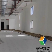 鮮肉放冷庫可以放多久？不同肉類保存期限與科學管理技巧