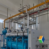 蒜苔冷庫可以存放多久？專業(yè)倉儲經(jīng)驗告訴你保鮮秘訣和時長極限