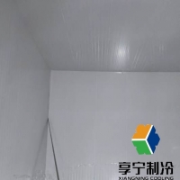 豬肉保鮮冷庫能放多久？看完這篇讓你囤肉不慌！