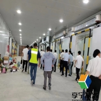 冷庫(kù)儲(chǔ)存地瓜溫度最好在多少度？科學(xué)控溫全攻略