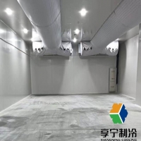 冷庫里的海鮮可以放多久？看完這篇再也不怕囤貨翻車