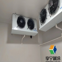 蒜苔放冷庫能保存多久？資深農(nóng)人教你3招讓保鮮期翻倍！