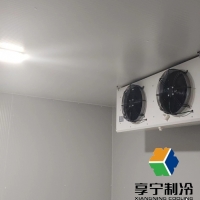 做一個(gè)小型冷庫(kù)放茶葉需要多少錢呢？看完這篇心里就有數(shù)了！