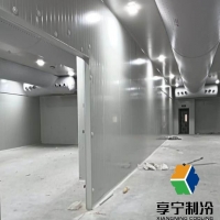 豬肉冷庫冷凍能放多久？冷藏時間、保鮮技巧、變質(zhì)信號全解析