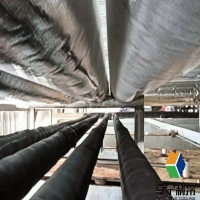 ?？谙憬犊梢苑爬鋷靻幔抠Y深果農(nóng)教你3個保鮮秘訣