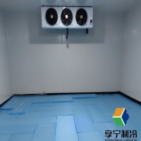 蔬菜冷庫(kù)溫度一般多少度？資深倉(cāng)儲(chǔ)專家揭秘最佳保鮮溫度區(qū)間