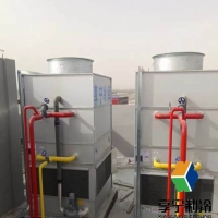 藍莓冷庫能存多久？正確方法延長保鮮期不縮水