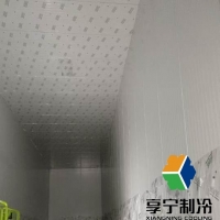 冷庫化霜感溫包放什么位置合適？專業(yè)解析與實(shí)用指南