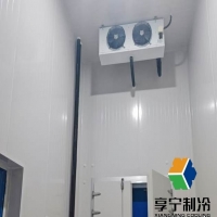 冷庫(kù)儲(chǔ)蘋(píng)果成本幾何？動(dòng)態(tài)解析選址、規(guī)模與運(yùn)營(yíng)全鏈路支出