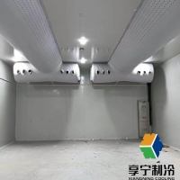 豬肉冷庫能放多久？家用冷藏VS商業(yè)冷凍的保鮮秘籍全公開