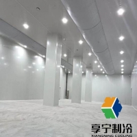 冷庫里面的肉能放多久？不同肉類儲存期限與保鮮攻略詳解