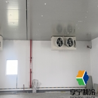 大型氣調(diào)冷庫設(shè)備生產(chǎn)廠家有哪些？行業(yè)優(yōu)選服務(wù)商綜合盤點(diǎn)